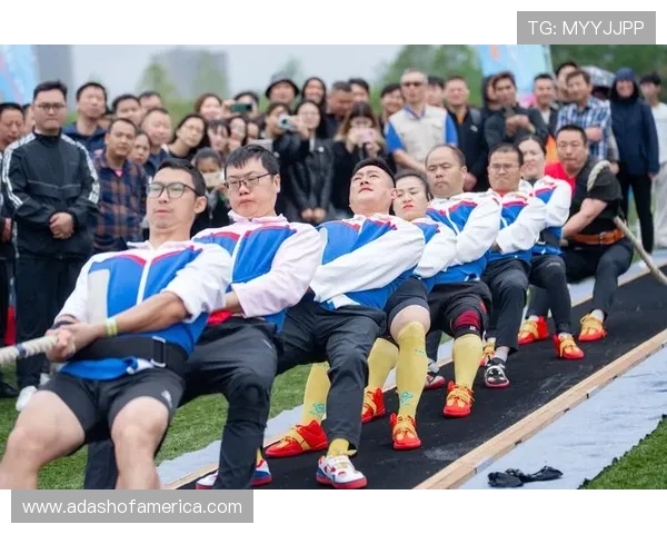 新2体育：打造多元化体育内容满足不同用户多样化需求