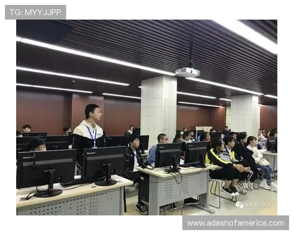 K8真人模拟器的安全性与隐私保护措施全面分析与建议