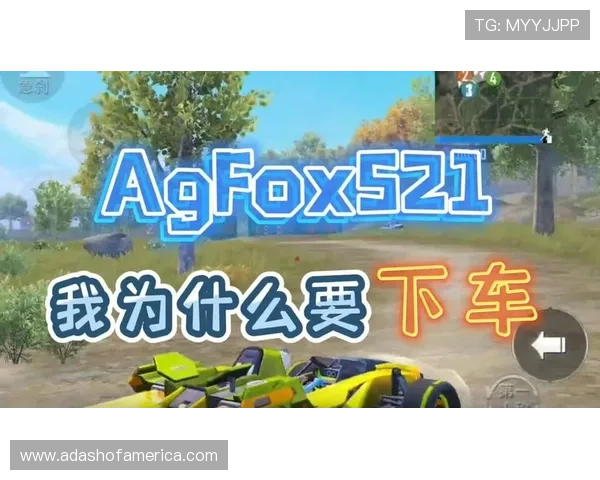 稳定可靠的AG电子官方下载链接，畅享无忧游戏体验